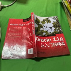 Oracle 11g从入门到精通
