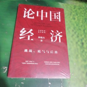 论中国经济：挑战、底气与后劲