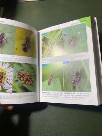 곤중 검색 도감 昆虫搜索图鉴