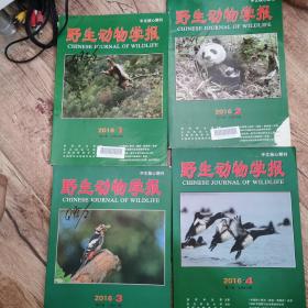 野生动物学报2016（1—4）