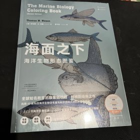 海面之下：海洋生物形态图鉴（一本可以涂色的海洋科普书）