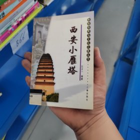 西安小雁塔——陕西自然与文化之旅丛书