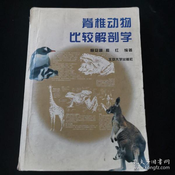 脊椎动物比较解剖学