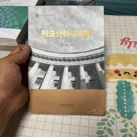 刑法分析与适用