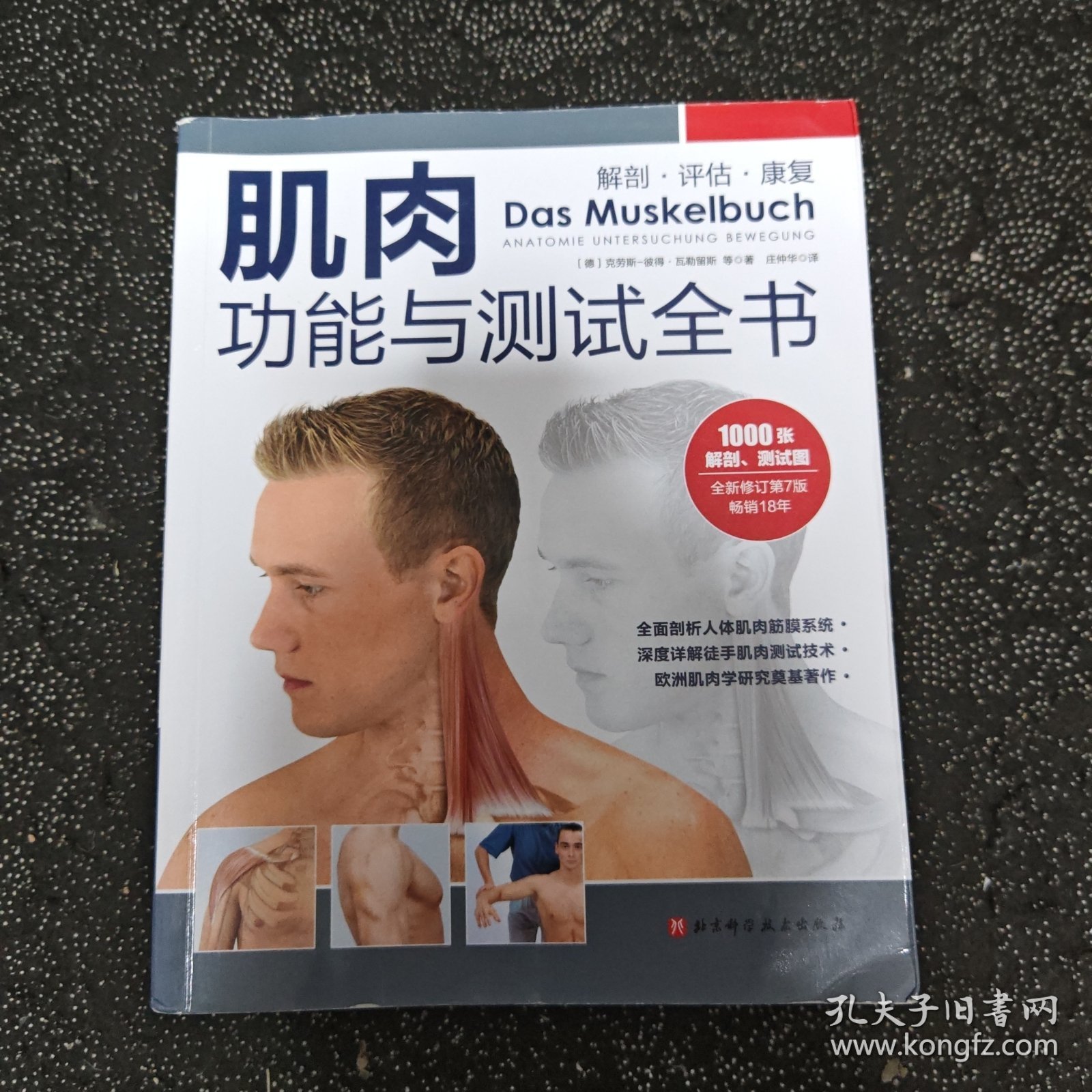 肌肉功能与测试全书