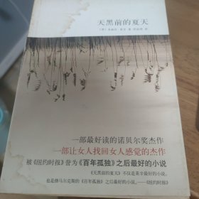 天黑前的夏天：新经典文库348；莱辛作品01