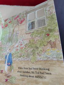 Peter Rabbit A Peep-Inside Tale