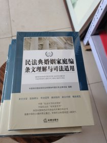 民法典婚姻家庭编条文理解与司法适用