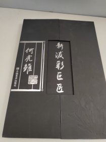 中国现代名家画集 新泼彩巨匠