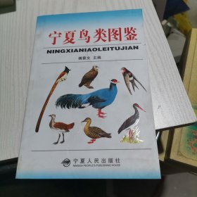宁夏鸟类图鉴