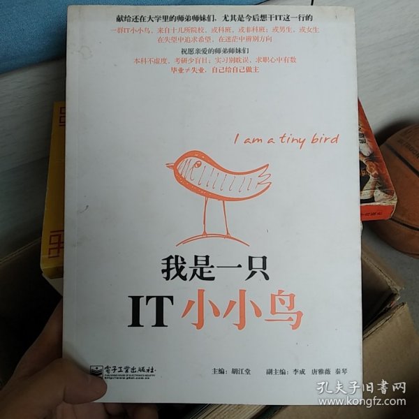 我是一只IT小小鸟