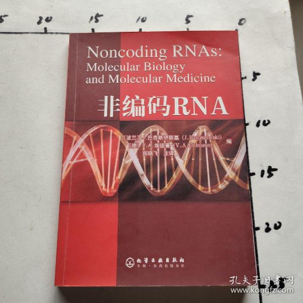 非编码RNA