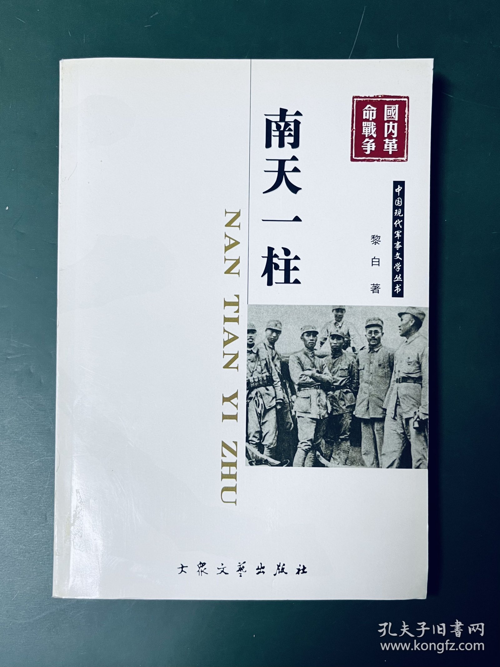 中国现代军事文学丛书· 国内革命战争：南天一柱