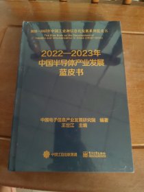 2022-2023年半导体产业发展蓝皮书