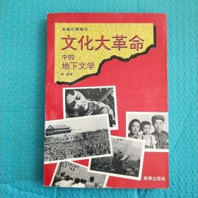 地下文学 长篇记实报告