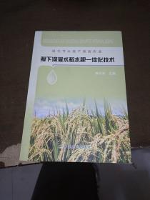 现代节水高产高效农业：膜下滴灌水稻水肥一体化技术