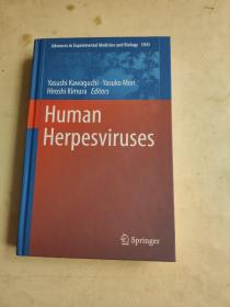 Human  Herpesviruses