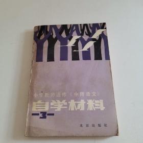 小学教师进修《中师语文》自学材料（三）