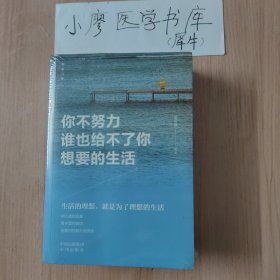 【正版·全５册】致奋斗者-你不努力谁也给不了你想要的生活+将来的你一定感谢现在拼命的自己+余生很贵，请勿浪费+别在吃苦的年纪选择安逸+你若不勇敢谁替你坚强