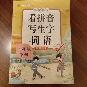 汉之简看拼音写词语二年级下册人教部编版小学语文专项同步练习册注音