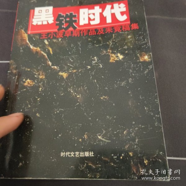 黑铁时代：王小波早期作品及未竟稿集