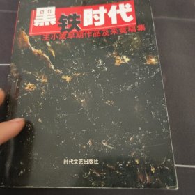 黑铁时代：王小波早期作品及未竟稿集