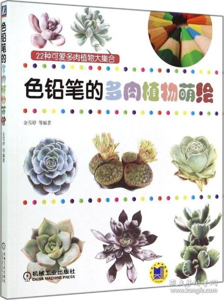 色铅笔绘画系列：色铅笔的多肉植物萌绘