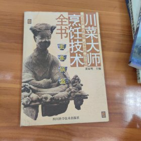 面条锅盔 川菜大师烹饪技术全书
