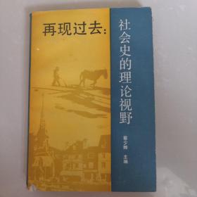 再现过去，社会史的理论视野