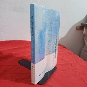 生成音系学原理