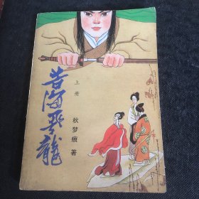 苦海飞龙 上册