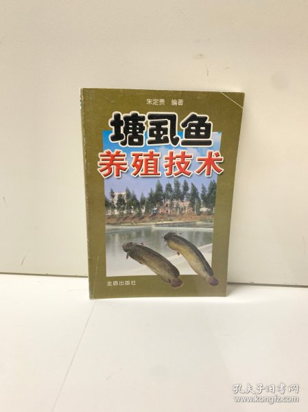 塘虱鱼养殖技术