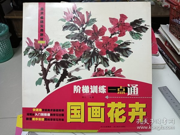 美术基础实用教材·阶梯训练一点通：国画花卉