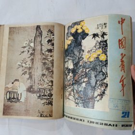 中国青年1981 13-24