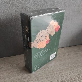 魔山（诺贝尔文学奖得主托马斯·曼代表作，哈佛推荐50本必读经典之一。“翻译文化终身成就奖”得主杨武能德文直译版。）【果麦经典】