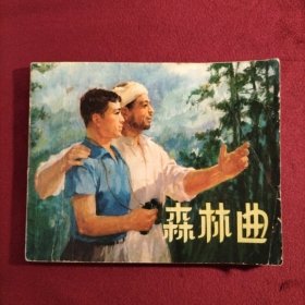 连环画 森林曲