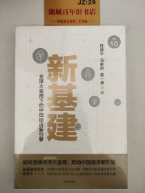 新基建：全球大变局下的中国经济新引擎任泽平新作（与普通版随机发货）