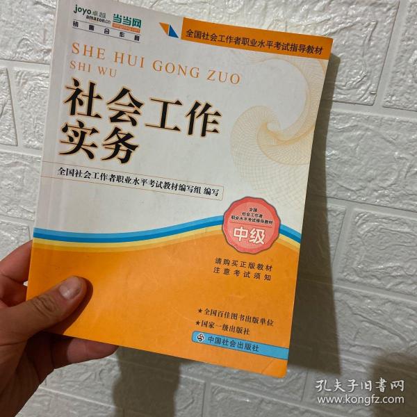 2010全国社会工作者职业水平考试教材：社会工作实务（中级）