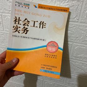 2010全国社会工作者职业水平考试教材：社会工作实务（中级）