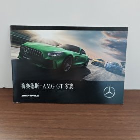 梅赛德斯----AMG GT 家族