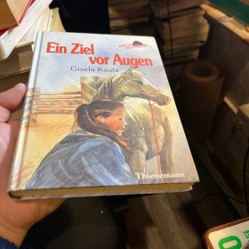 德文原版小说 Ein Ziel vor Augen