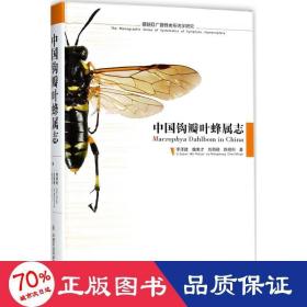 中国钩瓣叶蜂属志 生物科学 李泽建 等