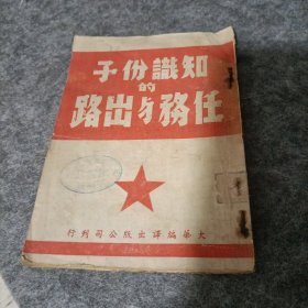 知识份子的任务与出路