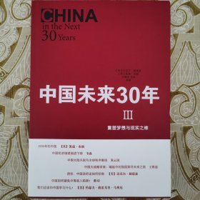中国未来30年III：重塑梦想与现实之维