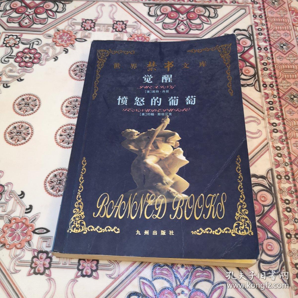 点击查看原图 《觉醒》
《愤怒的葡萄》