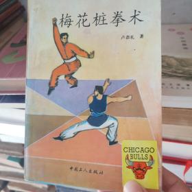 梅花桩拳术