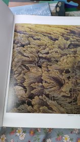 铁荷画派 中国当代名家画集刘德功
