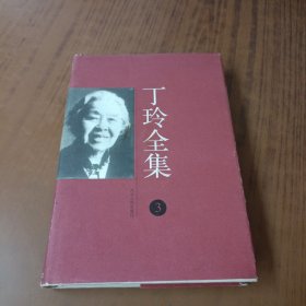 丁玲全集3