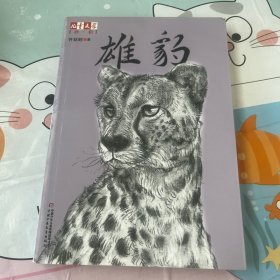 《儿童文学》伴侣：雄豹