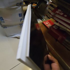 放大胃镜观察技巧（附光盘）